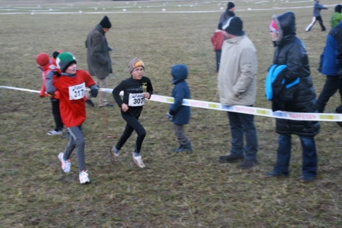 img_4896_redimensionner