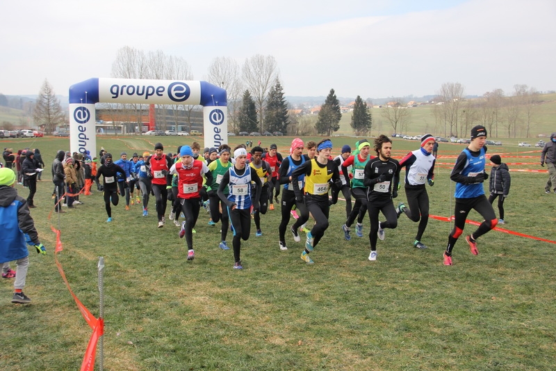 IMG_2937_redimensionner